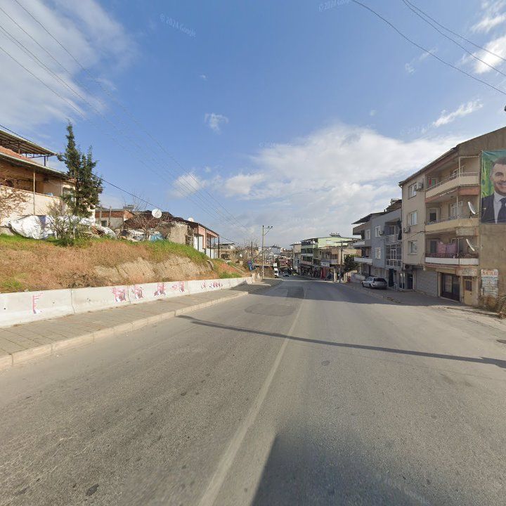 Fotoğraf 8