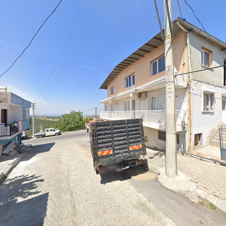 Fotoğraf 7