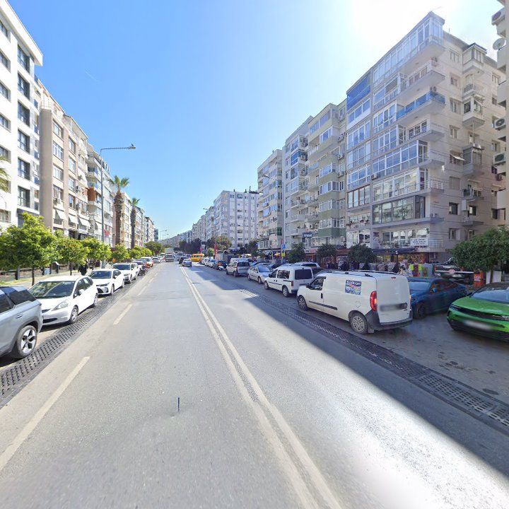 Fotoğraf 11