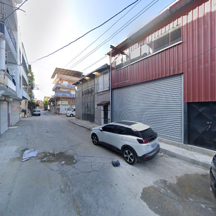 Fotoğraf 9