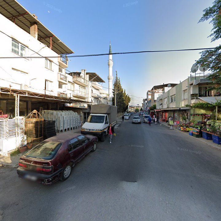 Fotoğraf 3