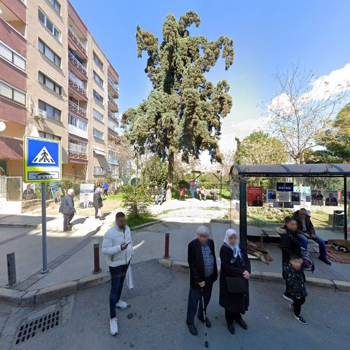 Fotoğraf 3