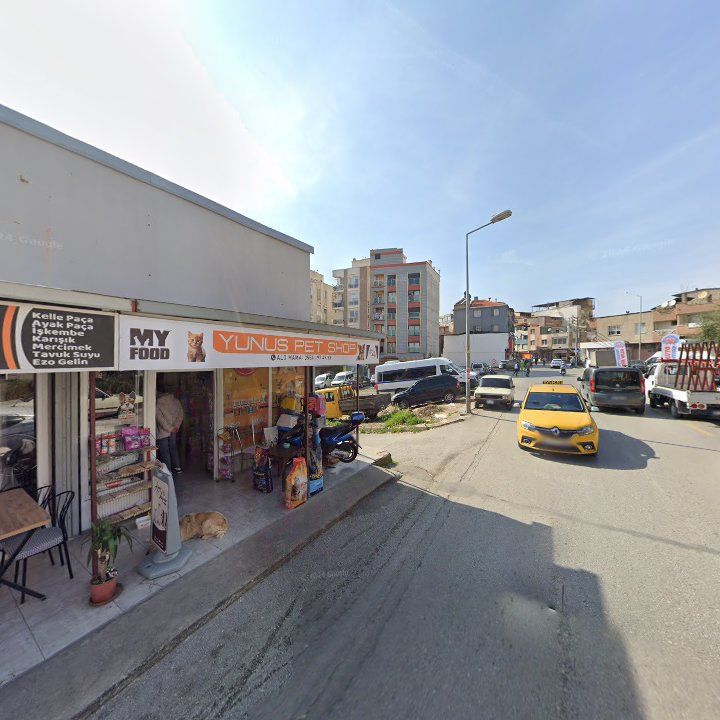 Fotoğraf 5
