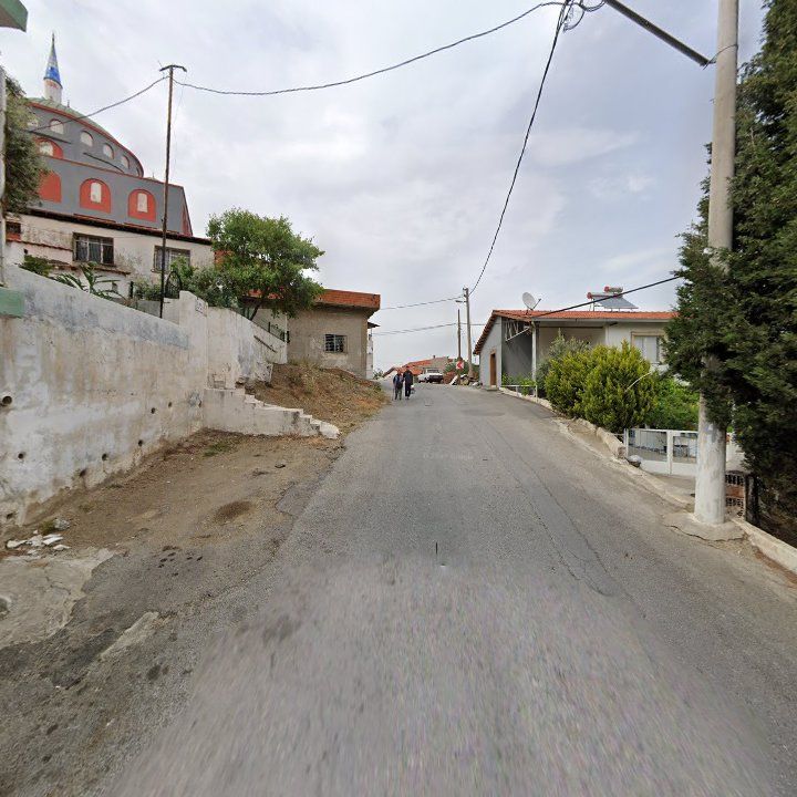 Fotoğraf 7