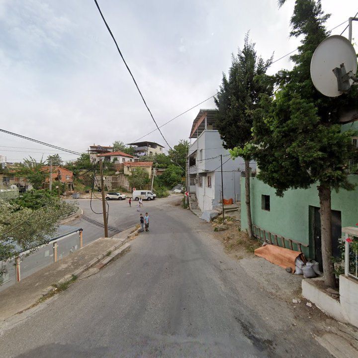 Fotoğraf 9