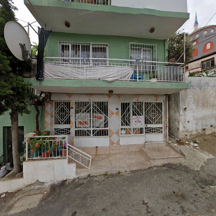 Fotoğraf 6