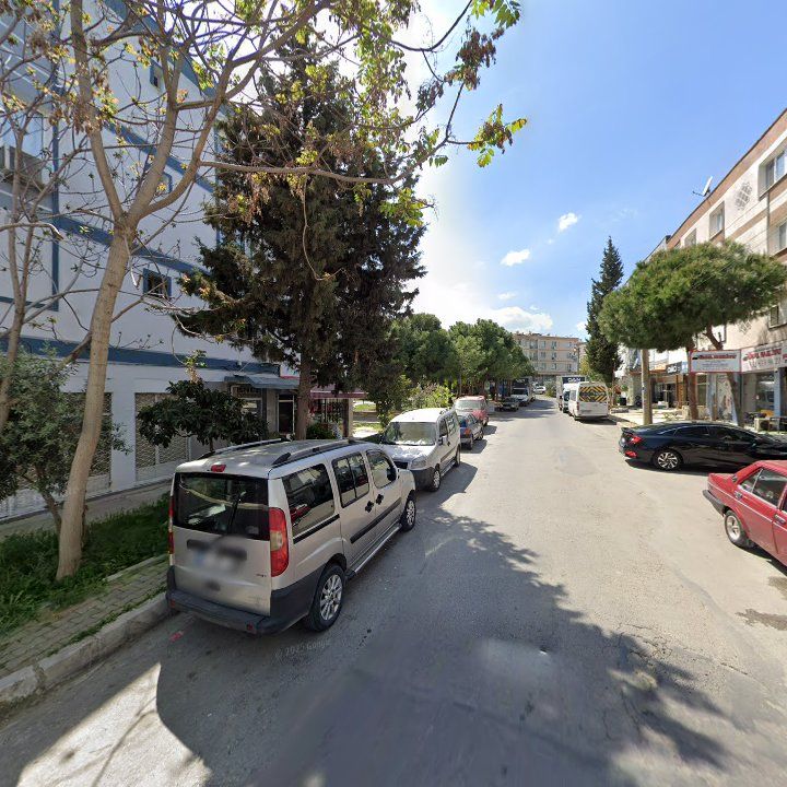 Fotoğraf 9