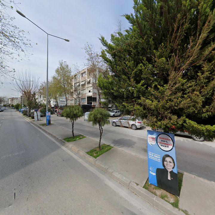Fotoğraf 10