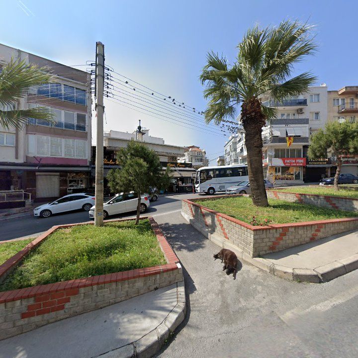 Fotoğraf 6