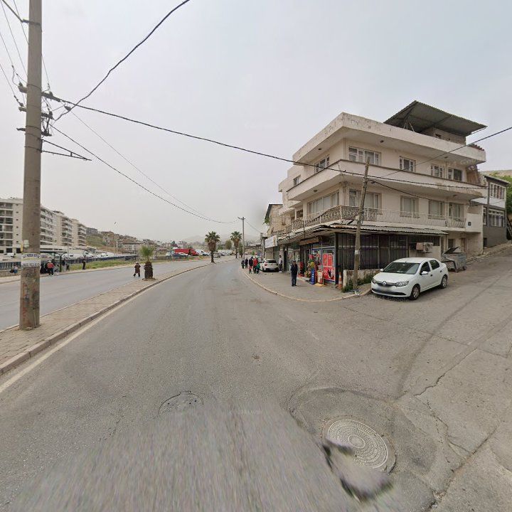 Fotoğraf 5