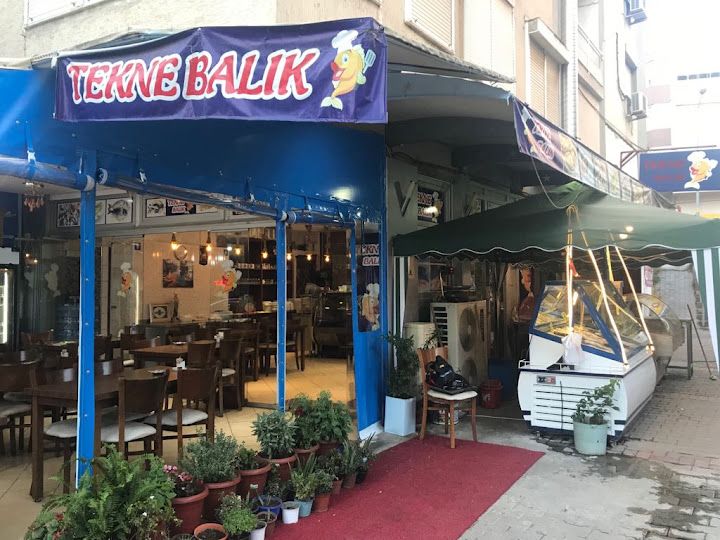 Tekne Balık