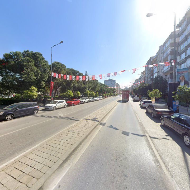 Fotoğraf 10