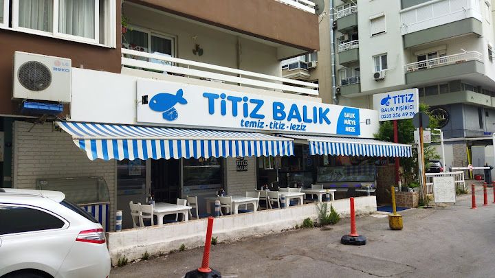 Titiz Balik