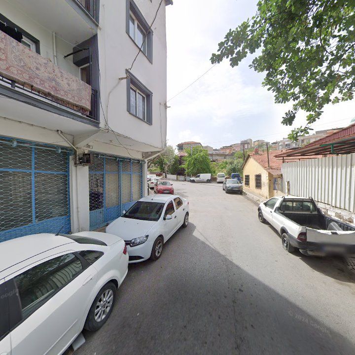 Fotoğraf 6