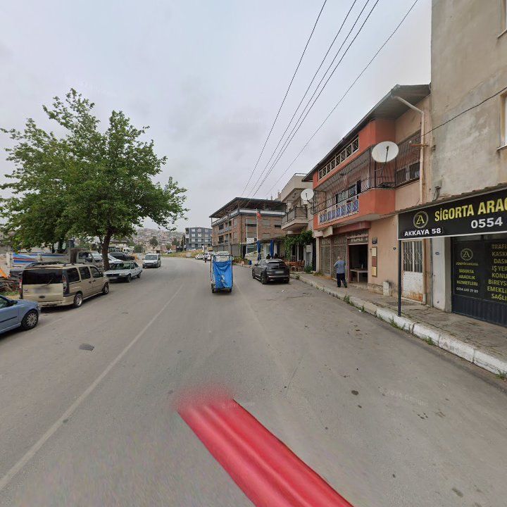 Fotoğraf 9