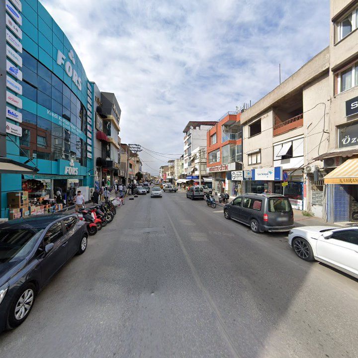 Fotoğraf 8