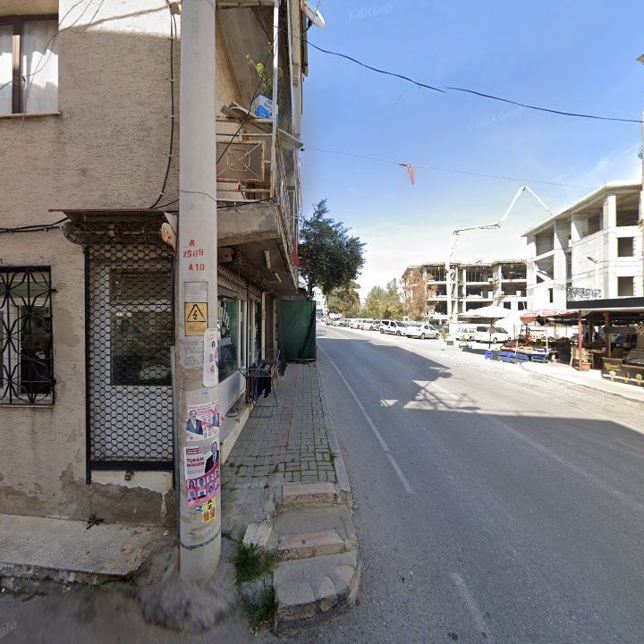 Fotoğraf 10