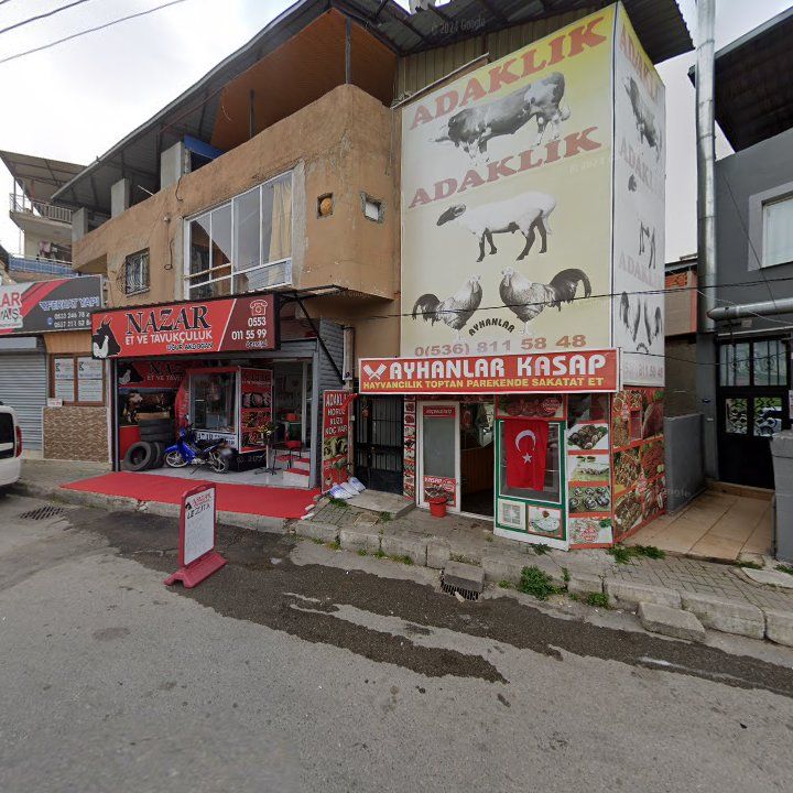 Fotoğraf 7