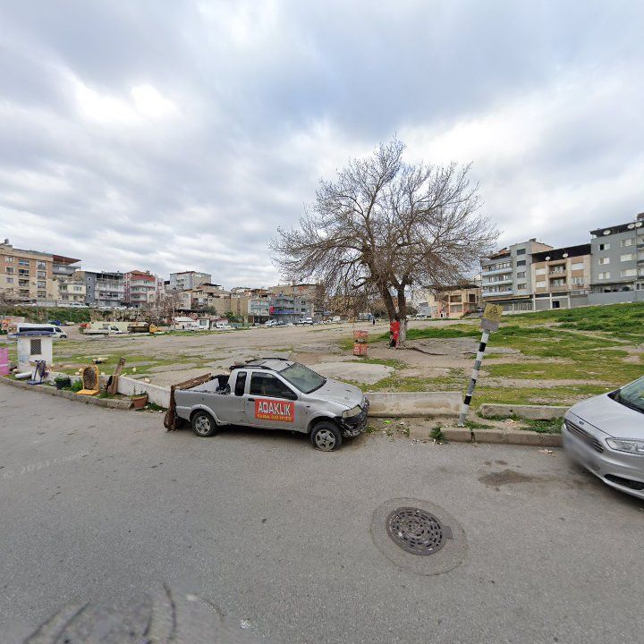 Fotoğraf 5
