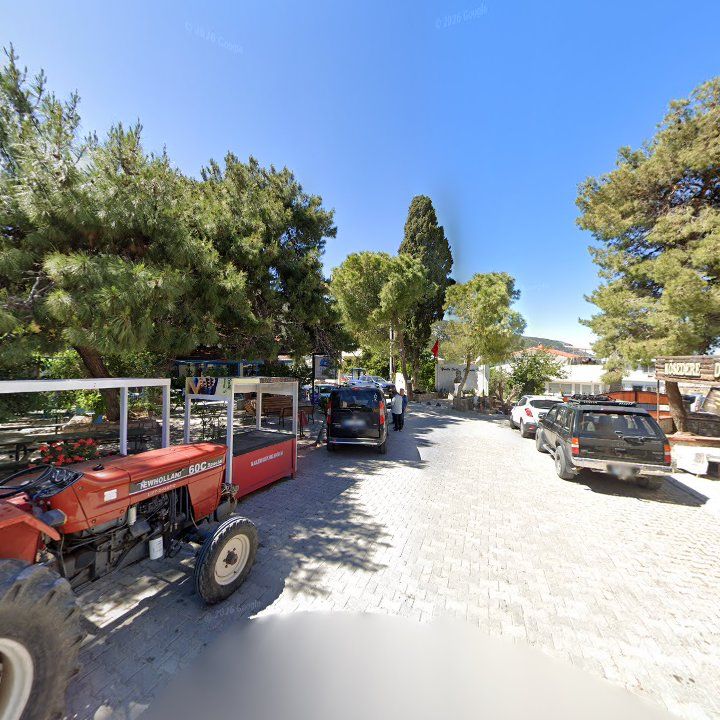 Fotoğraf 5
