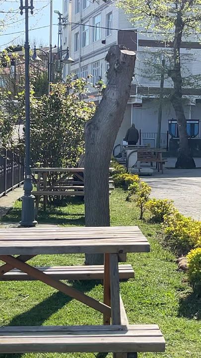 Fotoğraf 35