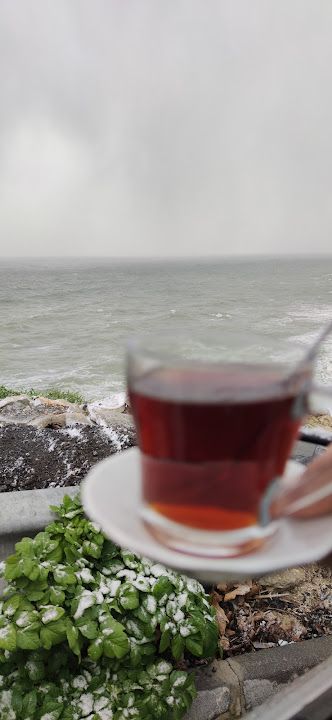 Fotoğraf 33