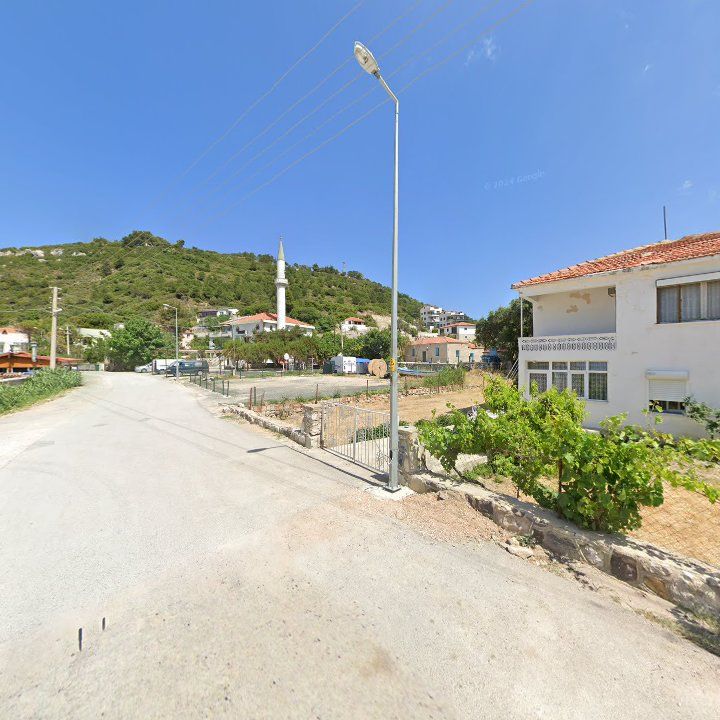 Fotoğraf 11