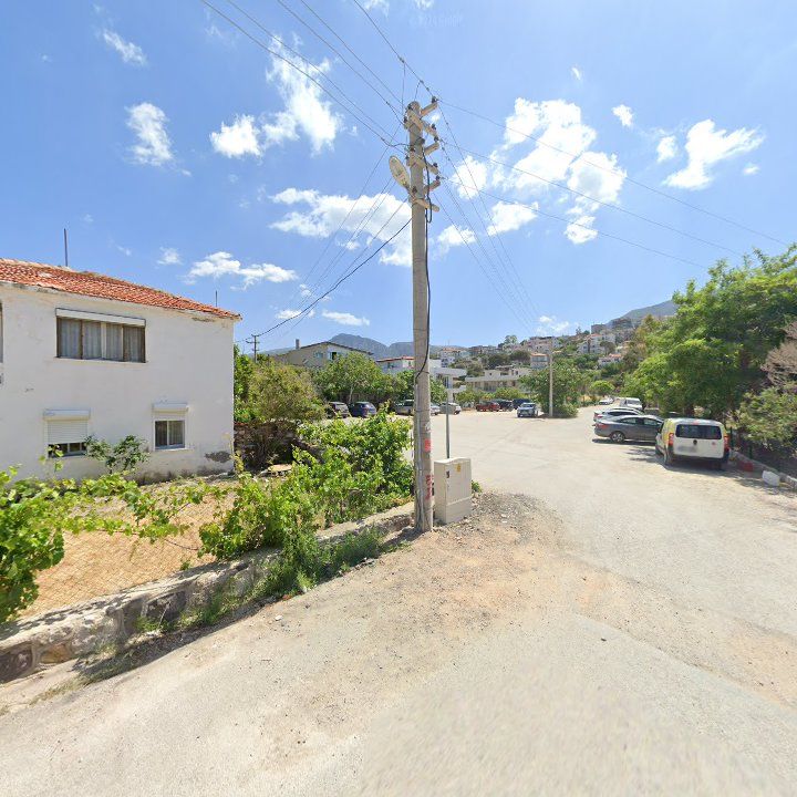 Fotoğraf 12