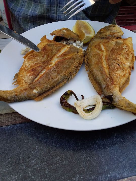 Fotoğraf 22