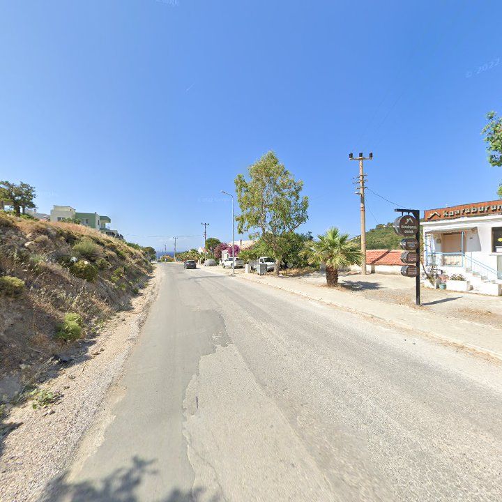 Fotoğraf 7