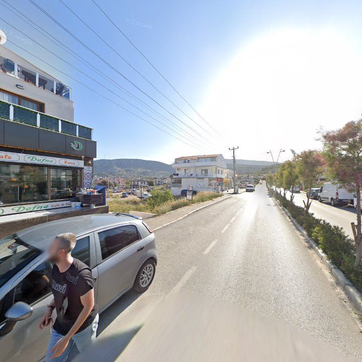 Fotoğraf 7