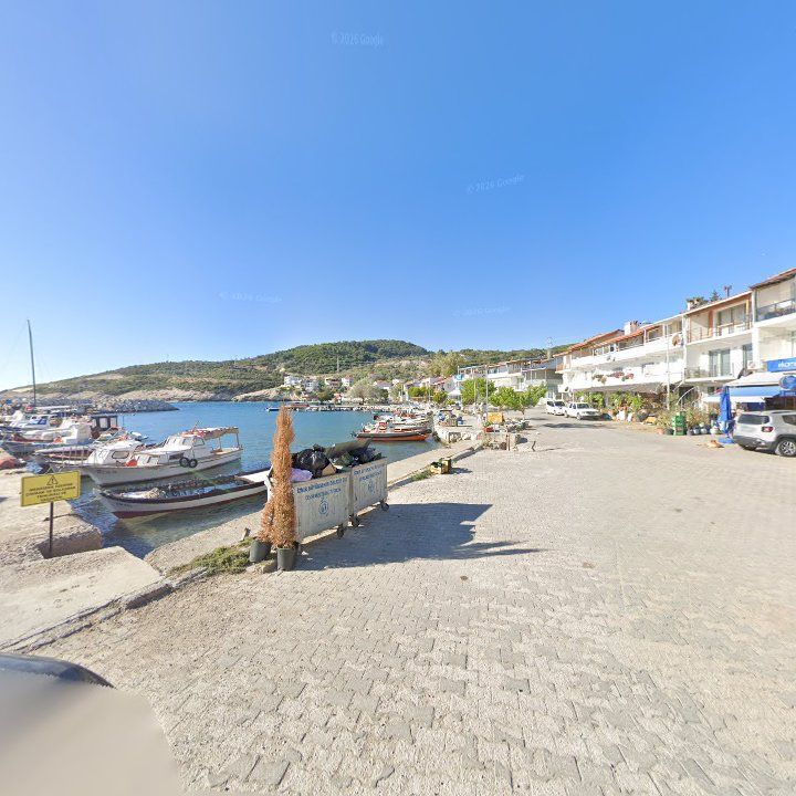 Fotoğraf 9