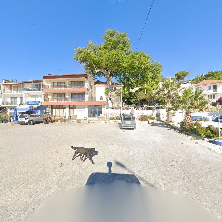 Fotoğraf 10