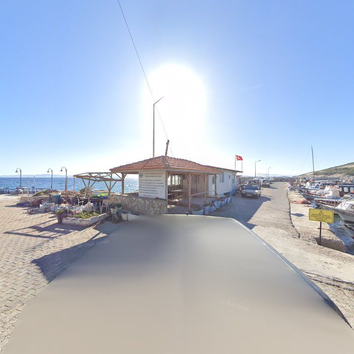 Fotoğraf 8