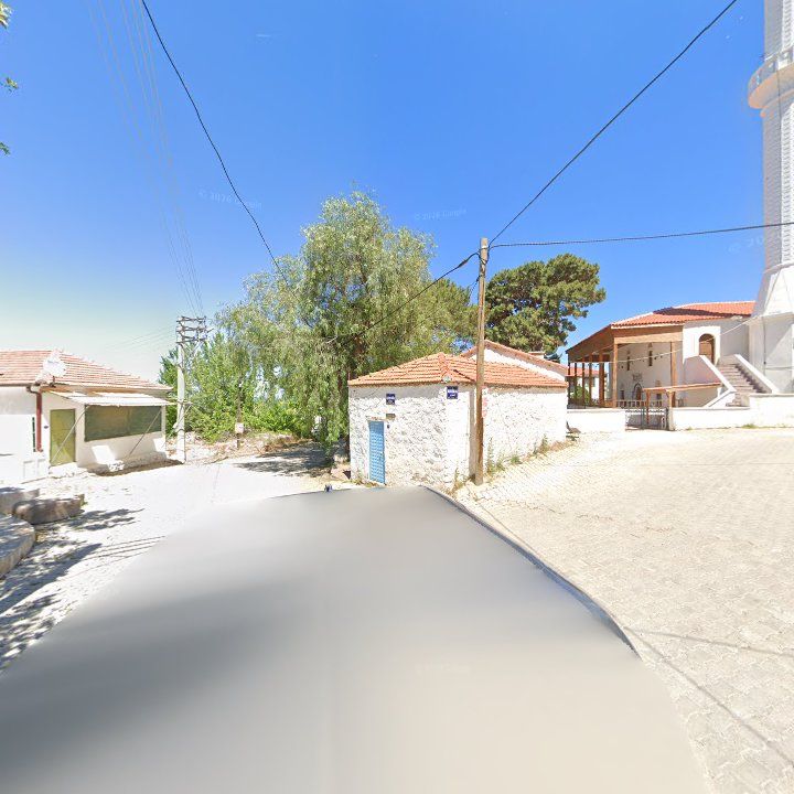 Fotoğraf 5