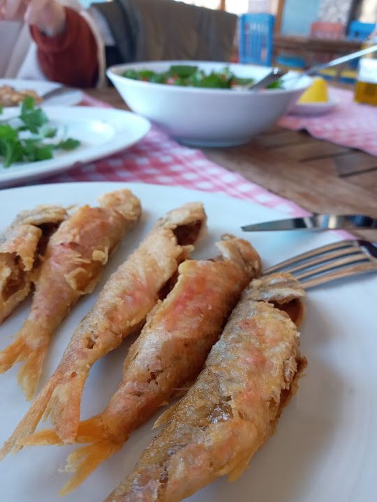 Fotoğraf 40