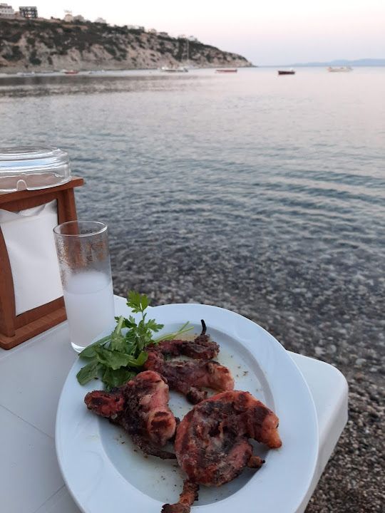 Fotoğraf 41