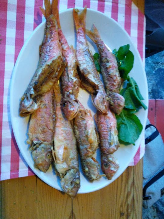 Fotoğraf 46