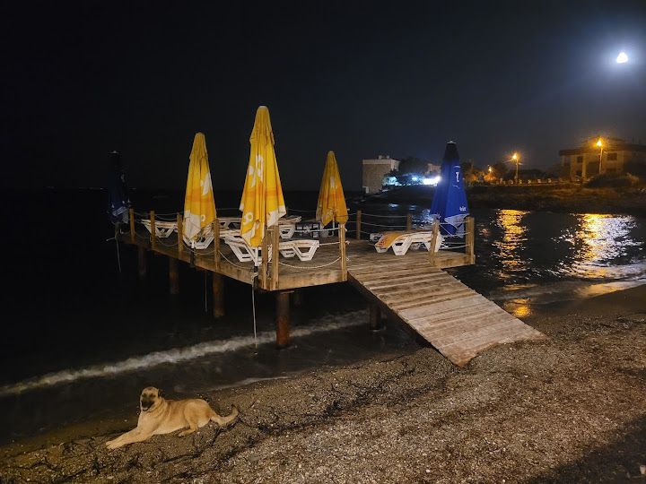 Yorum fotoğrafı 3