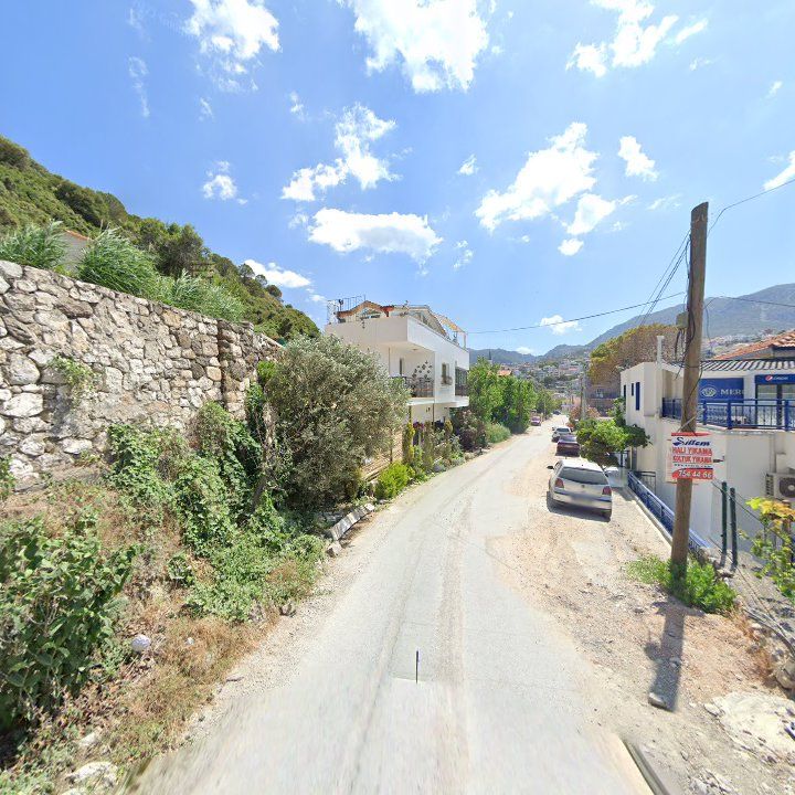 Fotoğraf 8