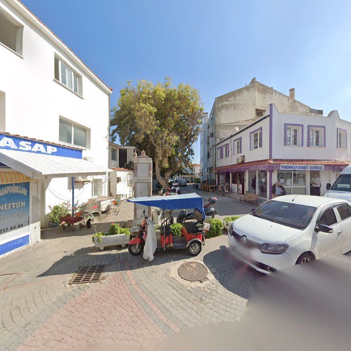 Fotoğraf 7