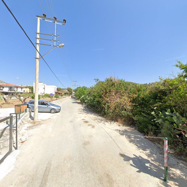 Fotoğraf 12