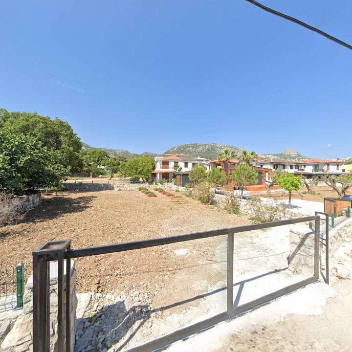 Fotoğraf 11