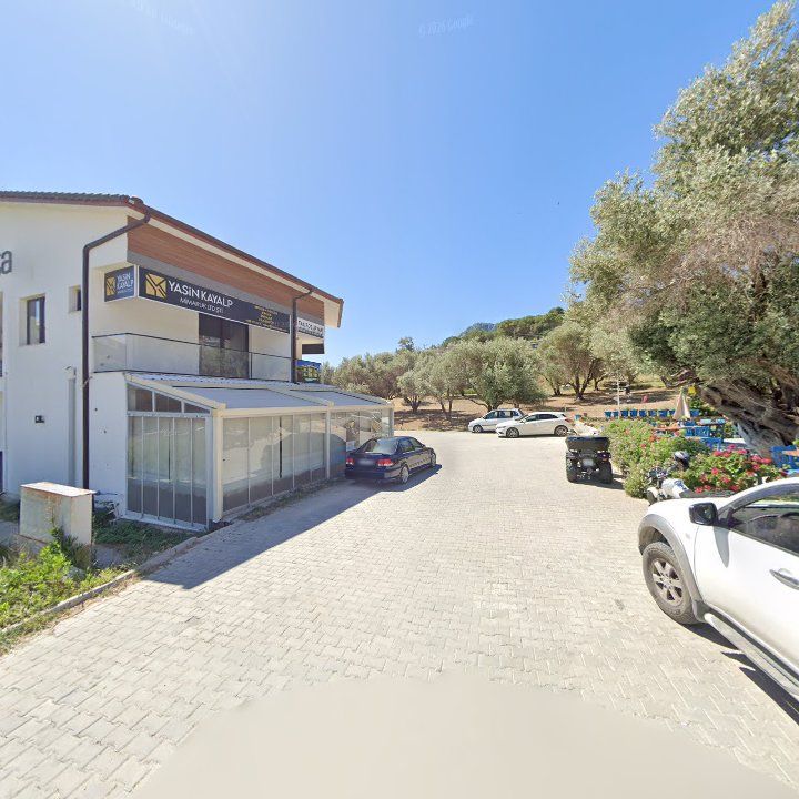 Fotoğraf 10