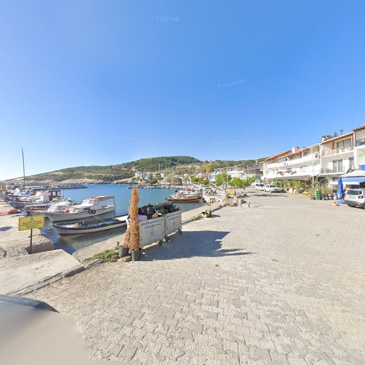 Fotoğraf 8