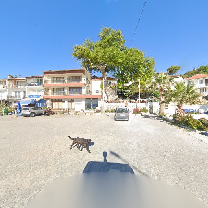 Fotoğraf 9