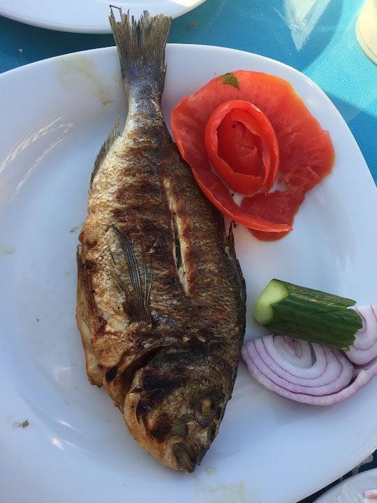 Fotoğraf 20