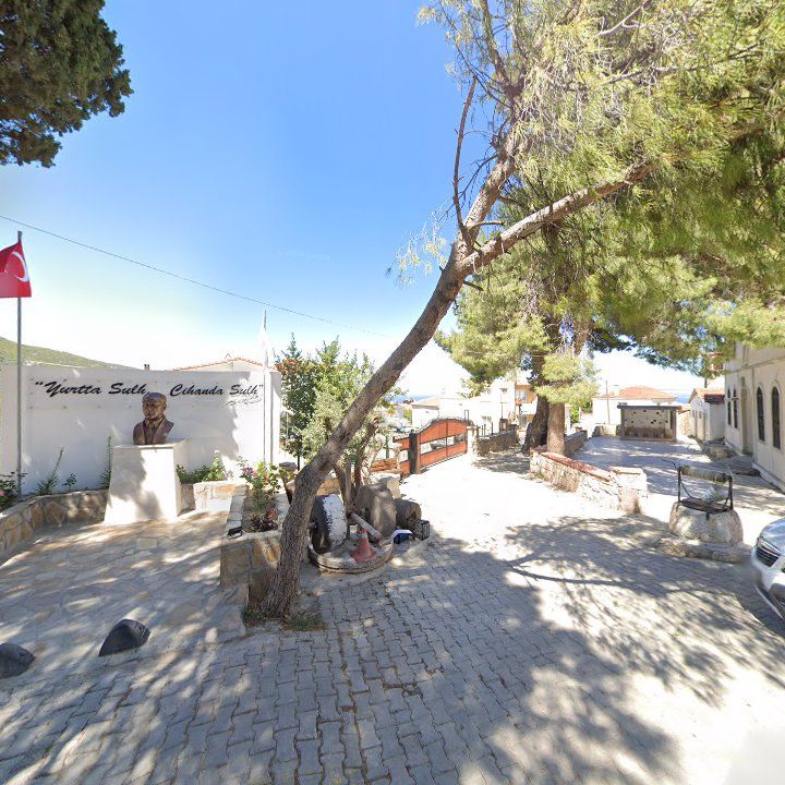 Fotoğraf 10
