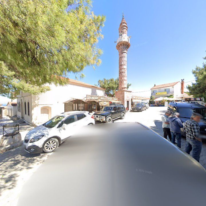 Fotoğraf 11