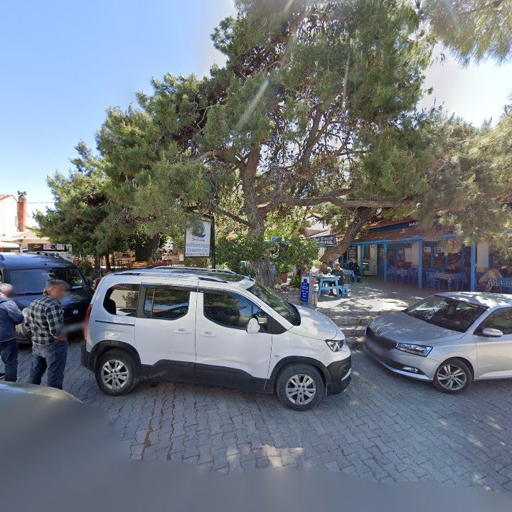Fotoğraf 12